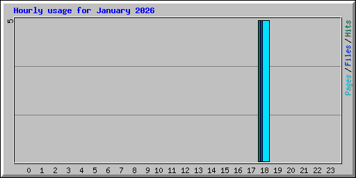 Hourly usage for January 2026