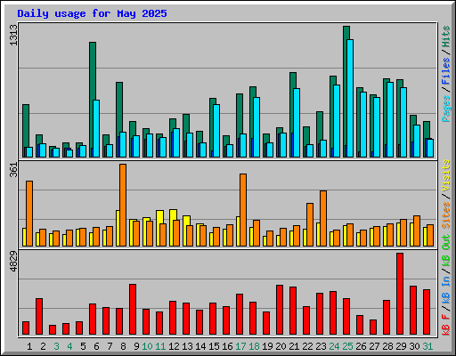 Daily usage for May 2025