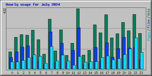 Hourly usage for July 2024