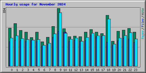 Hourly usage for November 2024