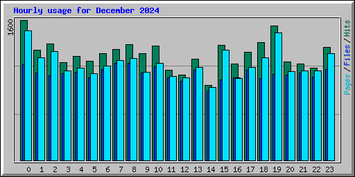 Hourly usage for December 2024