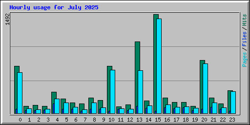 Hourly usage for July 2025