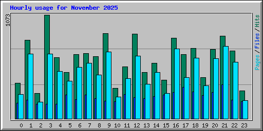 Hourly usage for November 2025