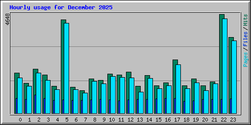 Hourly usage for December 2025