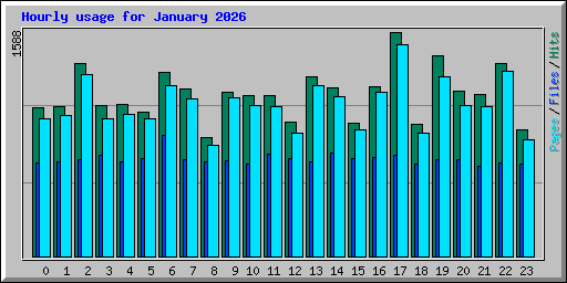 Hourly usage for January 2026