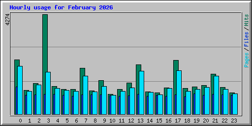 Hourly usage for February 2026