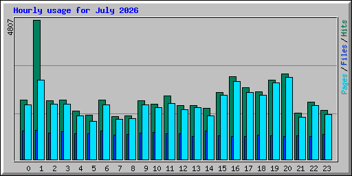 Hourly usage for July 2026