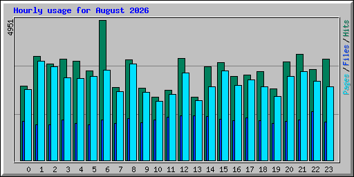Hourly usage for August 2026