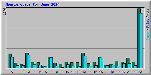 Hourly usage for June 2024