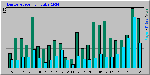 Hourly usage for July 2024