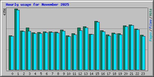 Hourly usage for November 2025