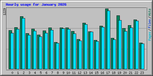 Hourly usage for January 2026