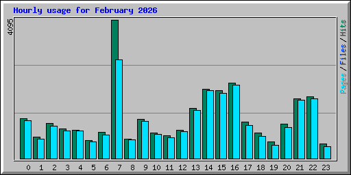Hourly usage for February 2026