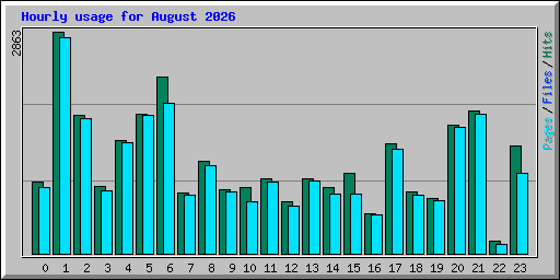 Hourly usage for August 2026