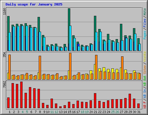 Daily usage for January 2025