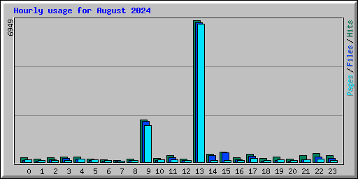 Hourly usage for August 2024