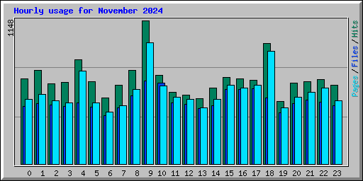 Hourly usage for November 2024