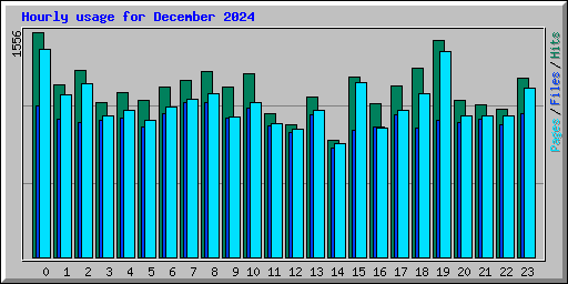 Hourly usage for December 2024