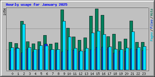 Hourly usage for January 2025