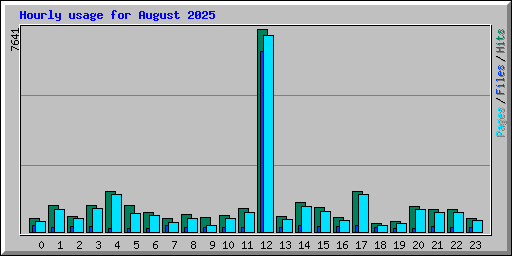 Hourly usage for August 2025