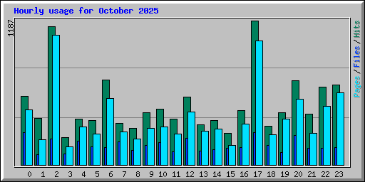 Hourly usage for October 2025