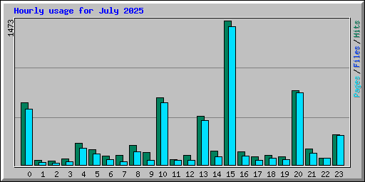 Hourly usage for July 2025