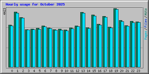 Hourly usage for October 2025